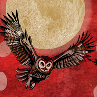owl artwork detail