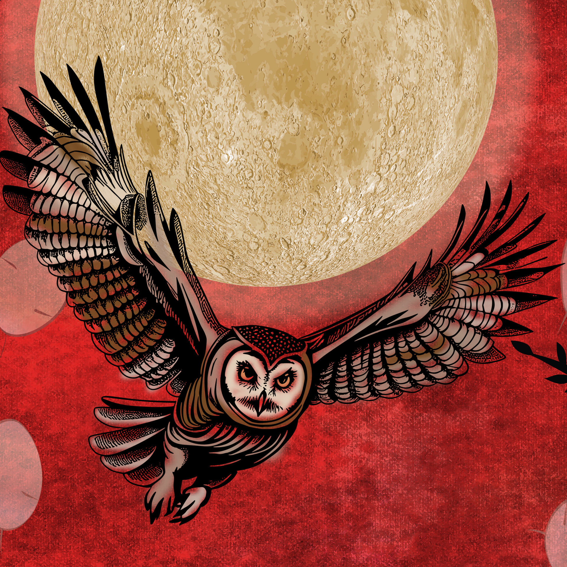 owl artwork detail